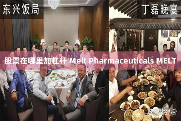 股票在哪里加杠杆 Melt Pharmaceuticals MELT