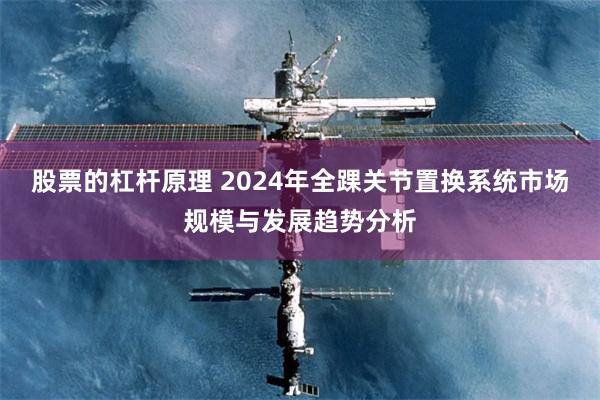 股票的杠杆原理 2024年全踝关节置换系统市场规模与发展趋势分析