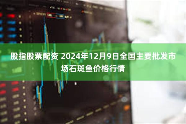 股指股票配资 2024年12月9日全国主要批发市场石斑鱼价格行情