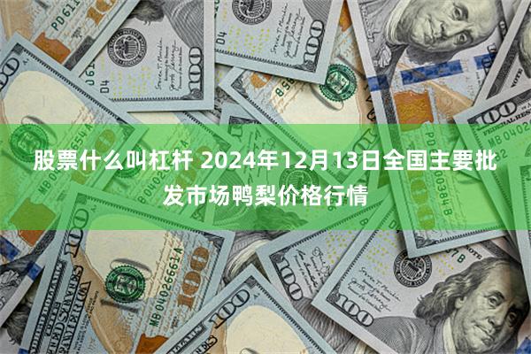 股票什么叫杠杆 2024年12月13日全国主要批发市场鸭梨价格行情