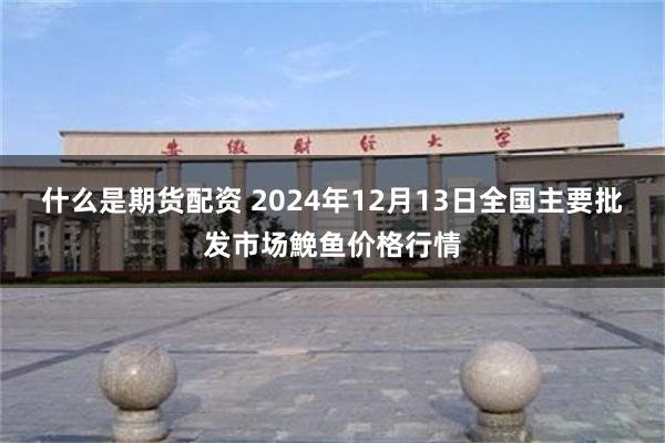 什么是期货配资 2024年12月13日全国主要批发市场鮸鱼价格行情