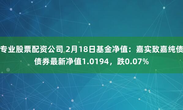 专业股票配资公司 2月18日基金净值：嘉实致嘉纯债债券最新净值1.0194，跌0.07%