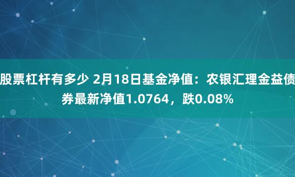 股票杠杆有多少 2月18日基金净值：农银汇理金益债券最新净值1.0764，跌0.08%