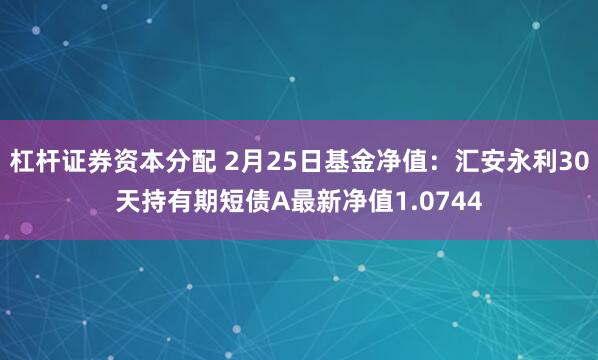 杠杆证券资本分配 2月25日基金净值：汇安永利30天持有期短债A最新净值1.0744