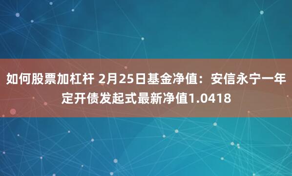 如何股票加杠杆 2月25日基金净值：安信永宁一年定开债发起式最新净值1.0418