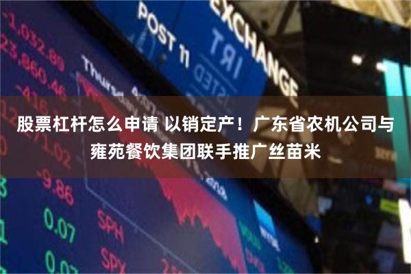 股票杠杆怎么申请 以销定产！广东省农机公司与雍苑餐饮集团联手推广丝苗米