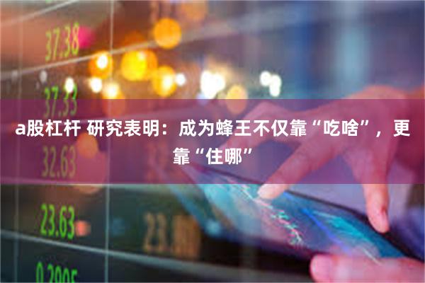 a股杠杆 研究表明：成为蜂王不仅靠“吃啥”，更靠“住哪”