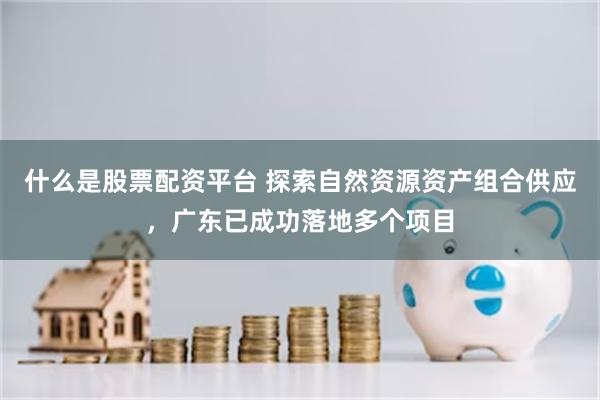 什么是股票配资平台 探索自然资源资产组合供应，广东已成功落地多个项目